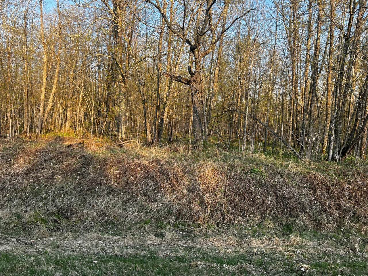 184th 184th St - Photo 1
