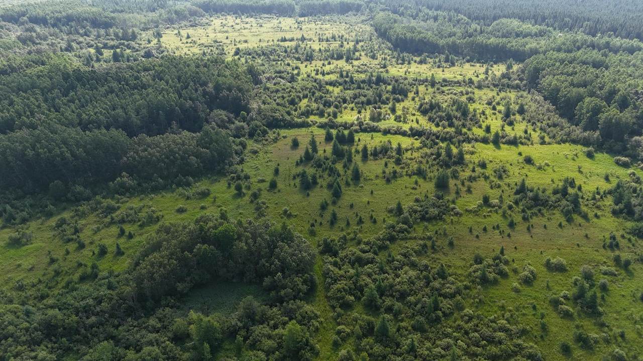 TBD County Road 14 - Photo 1