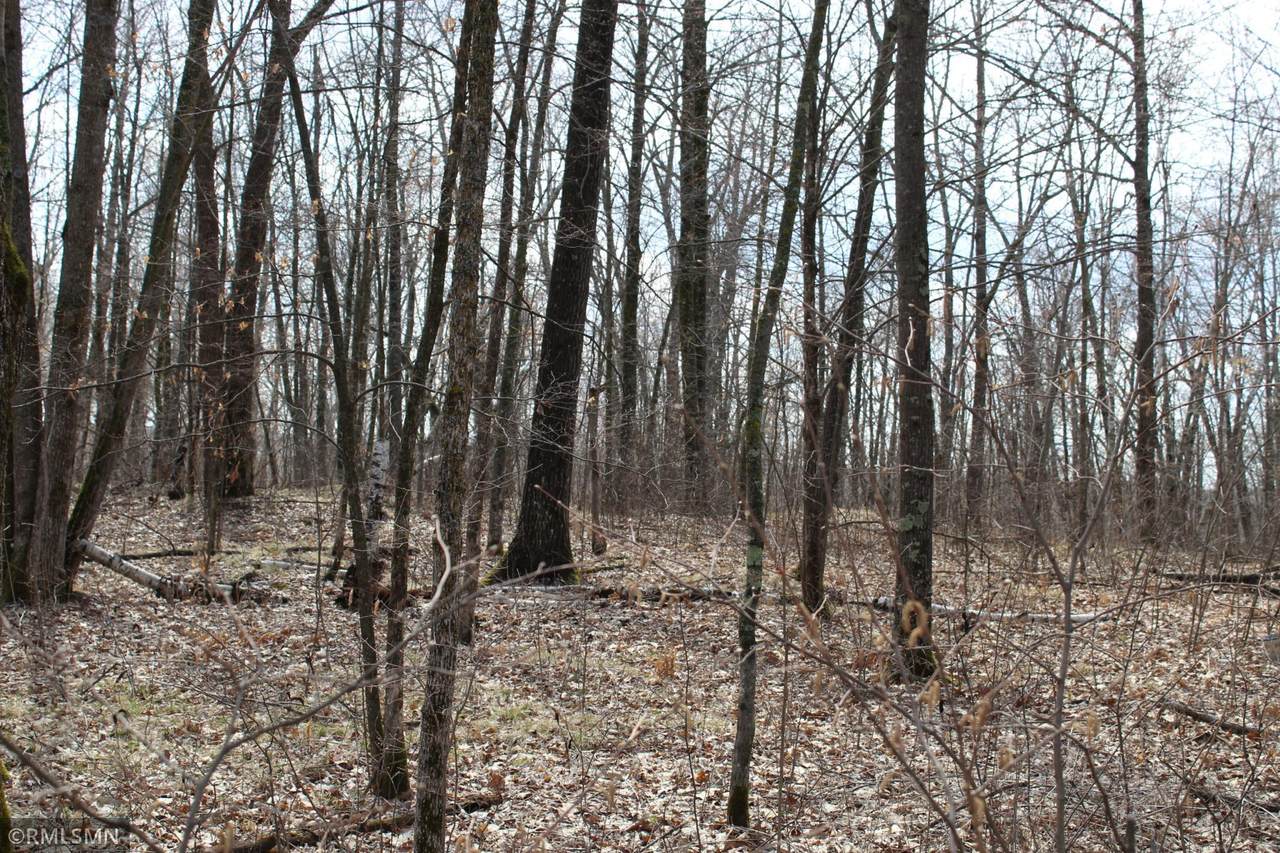 39743 Van Gordon Road - Photo 1