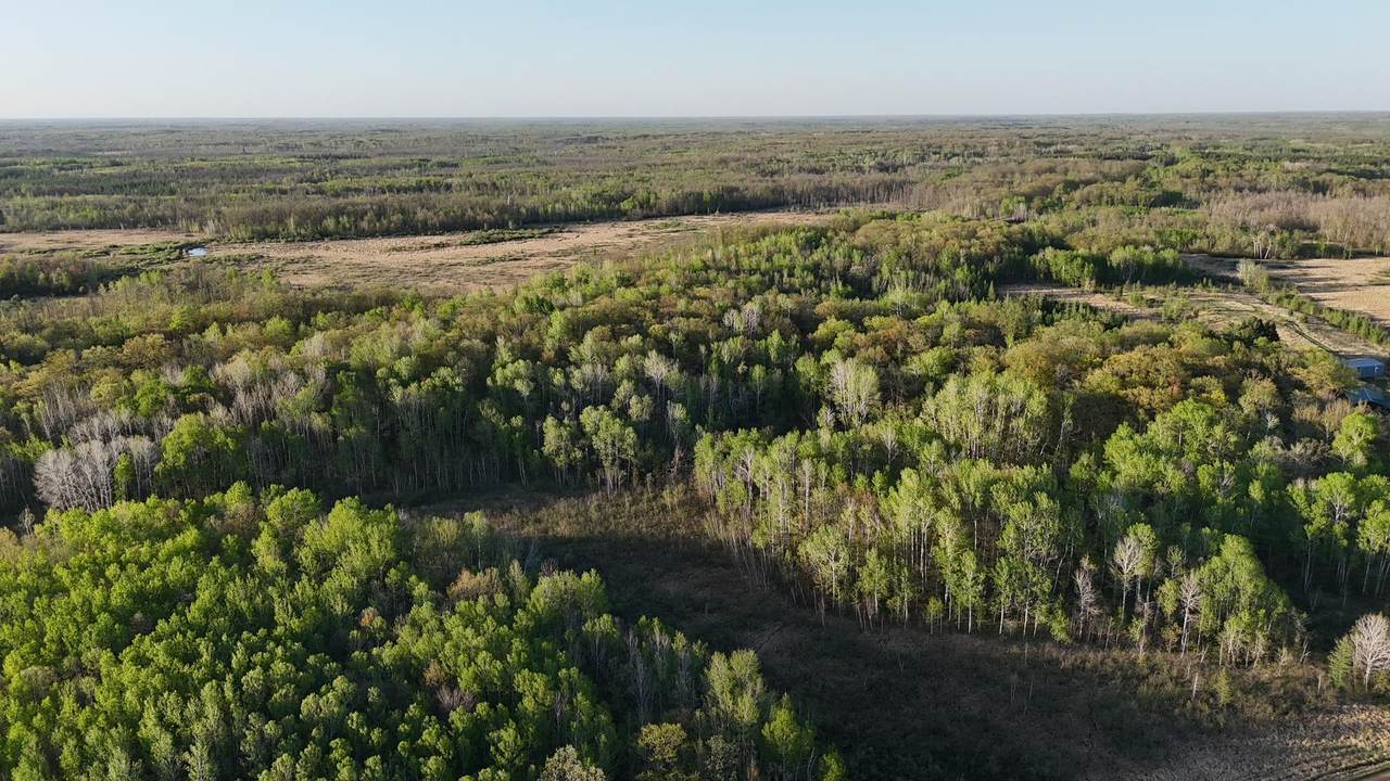 TBD 180th Lane - Photo 1