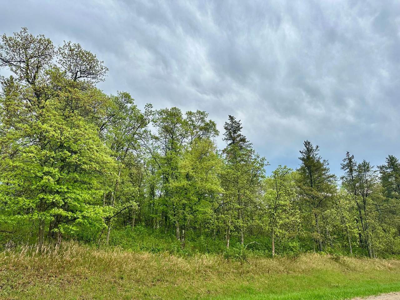 TBD Lot 1 Fairway Trail - Photo 1