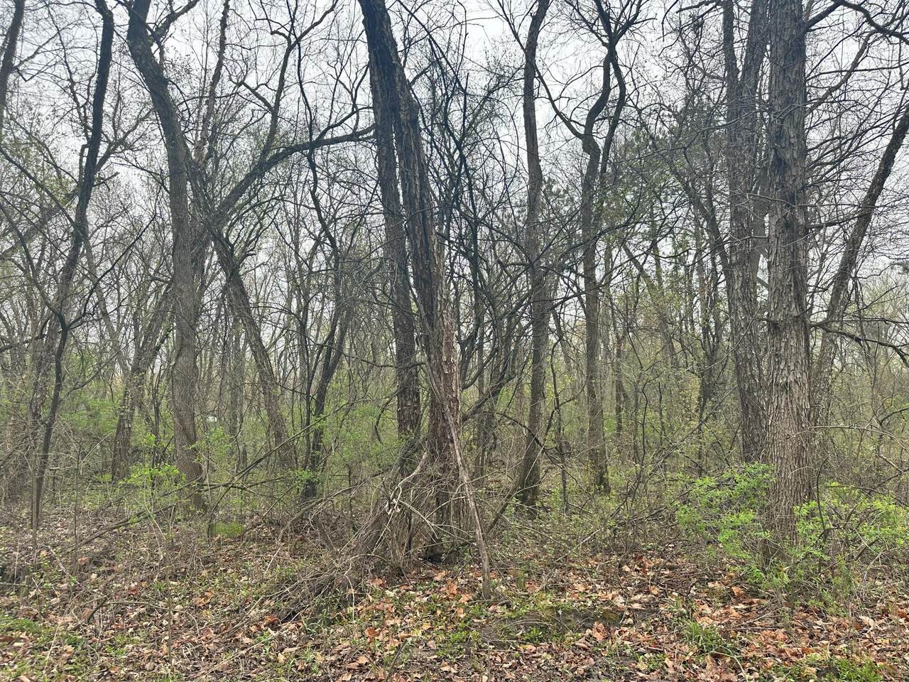 Lot 0 Catfish Drive - Photo 1