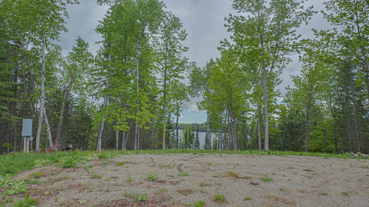 53550 Little Bear Trail - Photo 1