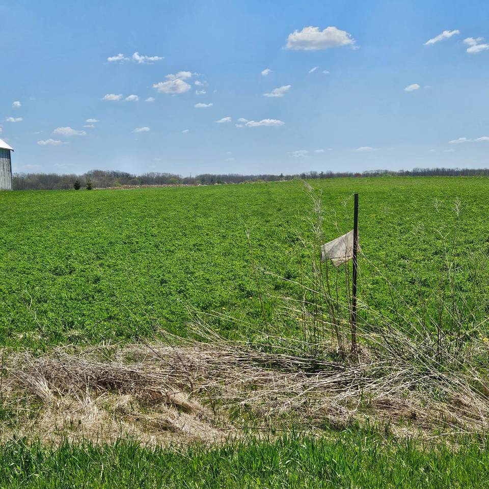 TBD 870th Avenue - Photo 1