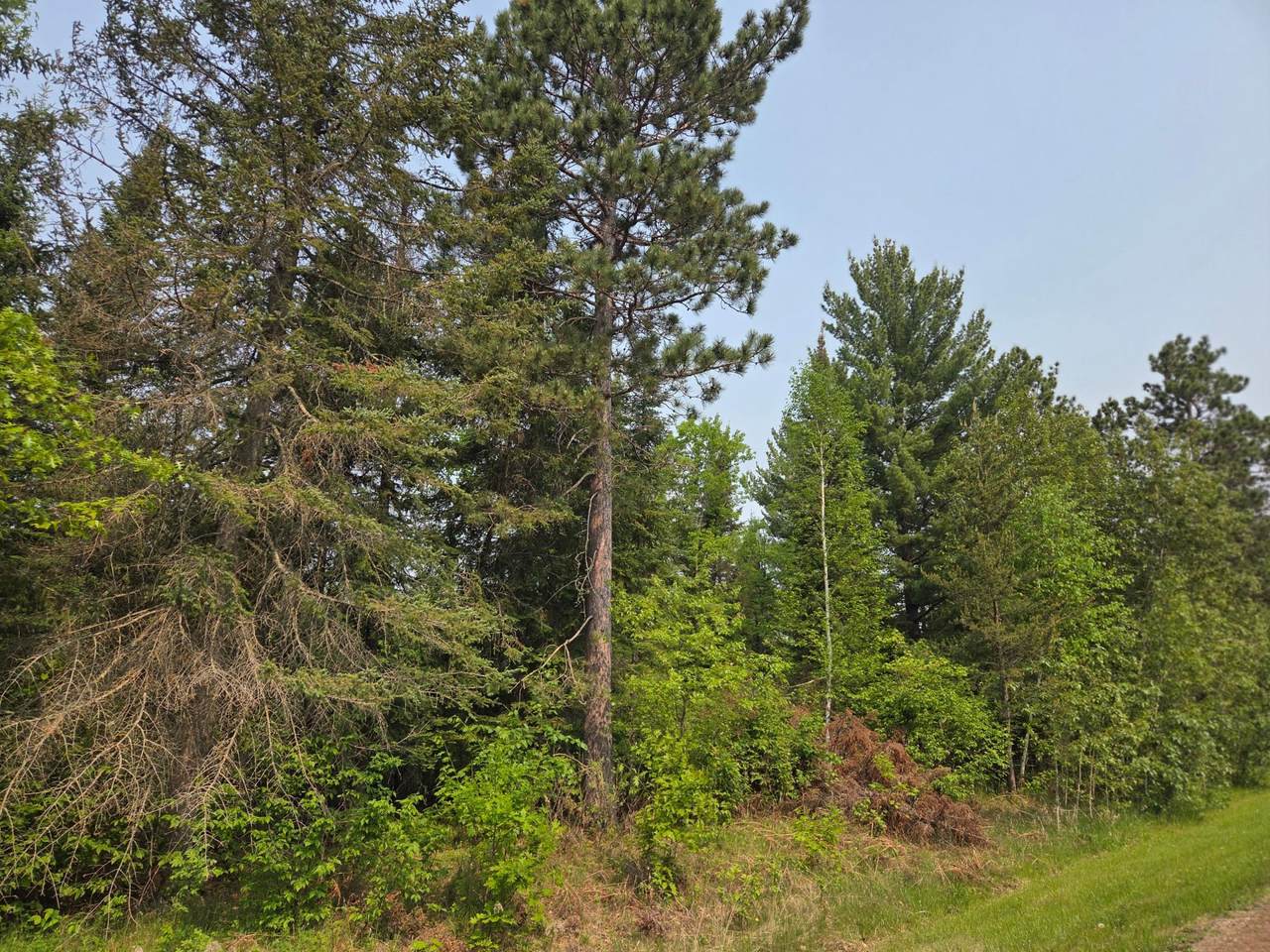 TBD Graycalm Court - Photo 1