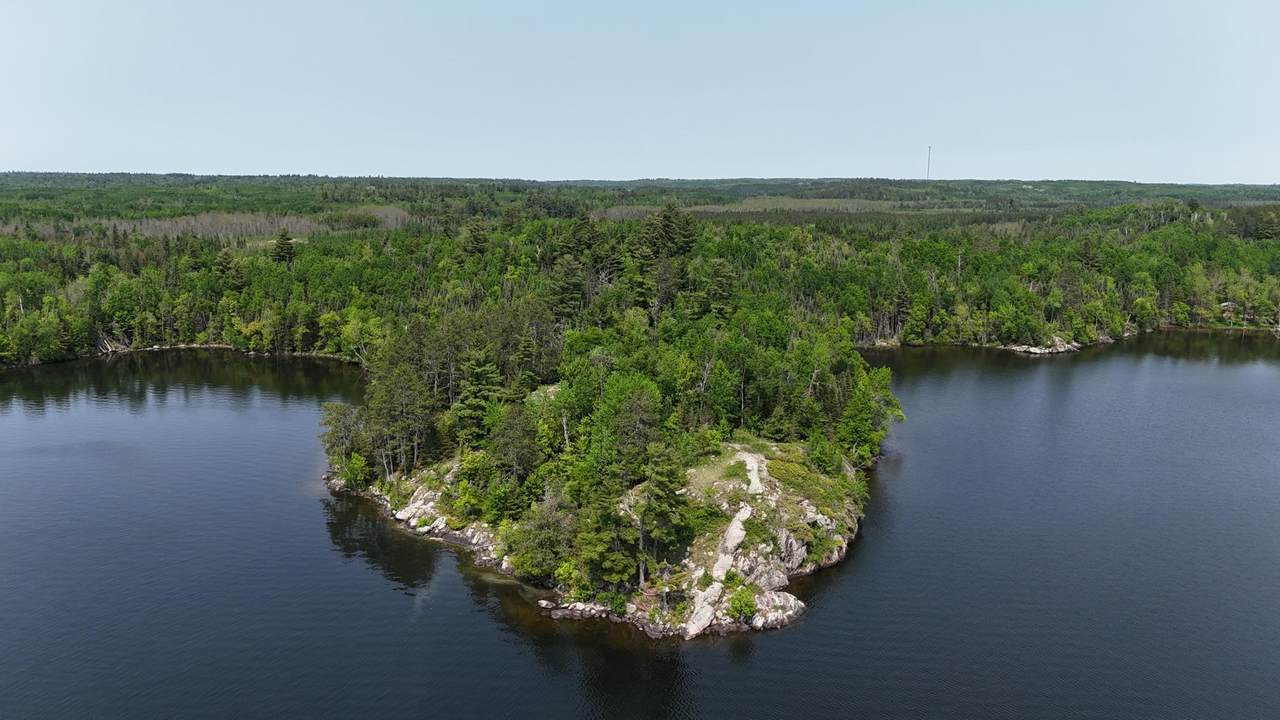 TBD 11.85 Bessette Road - Photo 1