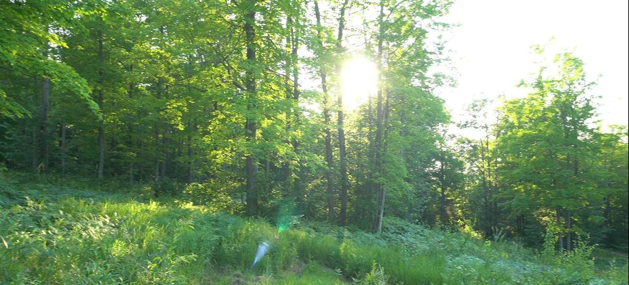 83xxx - Lot 7 Ashwabay Road - Photo 1