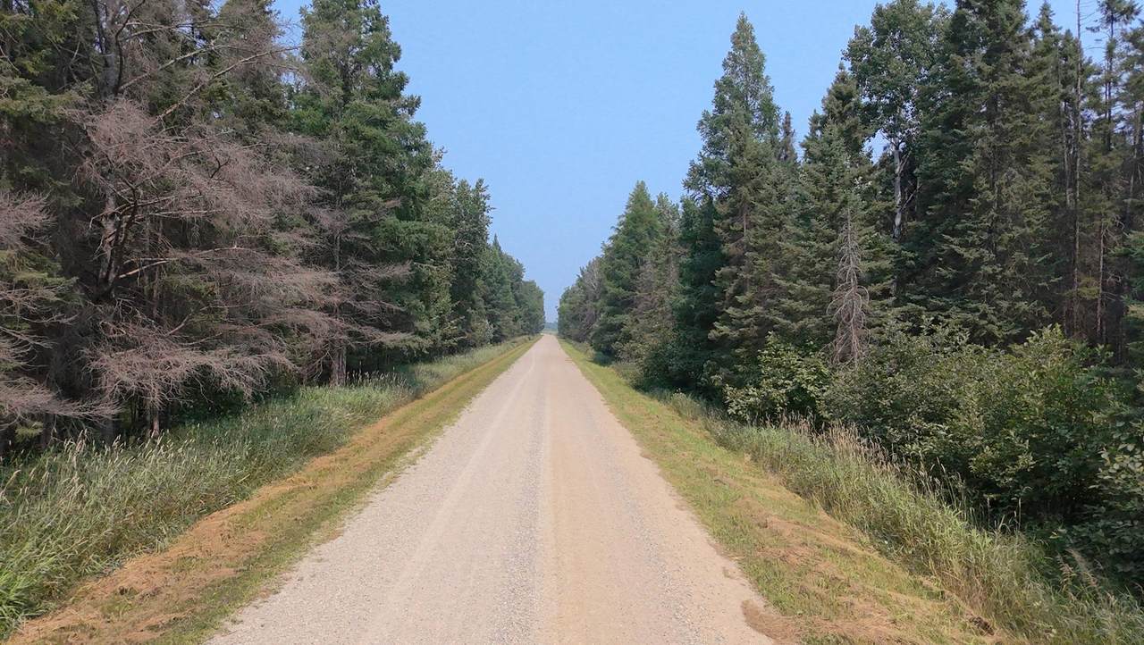 TBD 80 Acres Sunflower Road - Photo 1