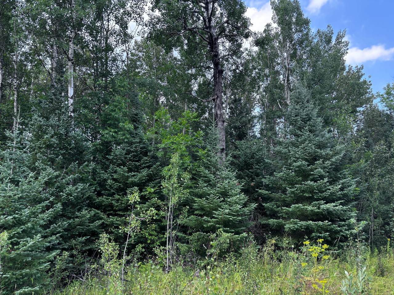 TBD Highway 71 - Photo 1