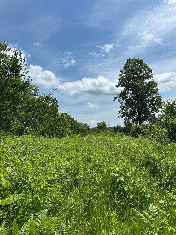 TBD Duncan Road - Photo 1