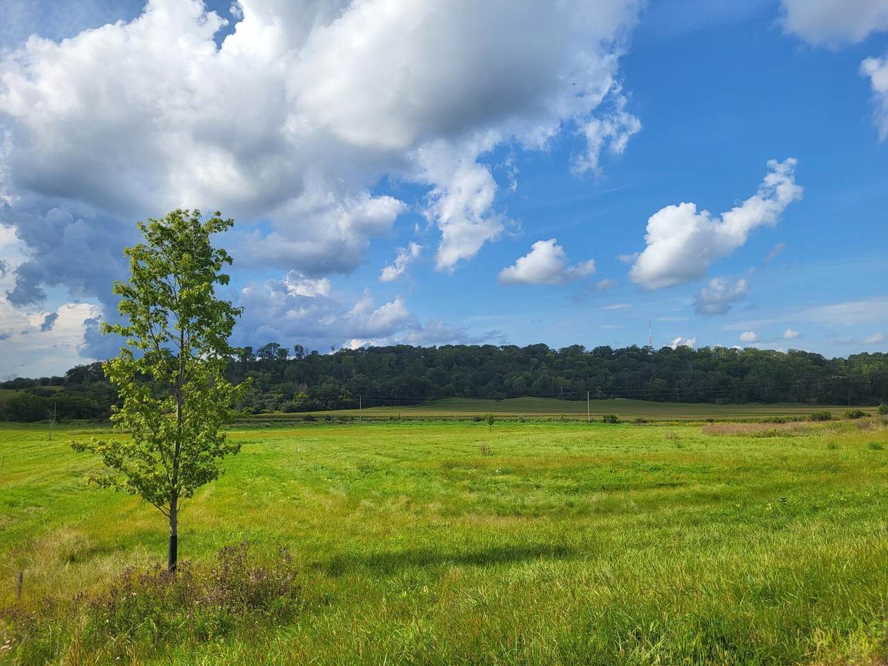 5185 8th Street - Photo 1