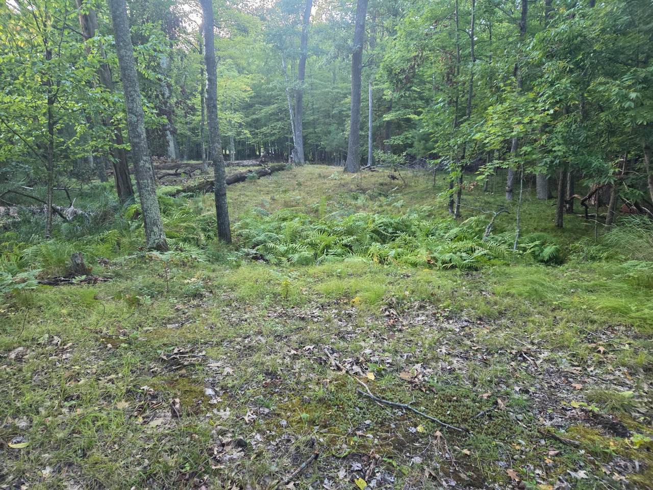 TBD 484th Street - Photo 1