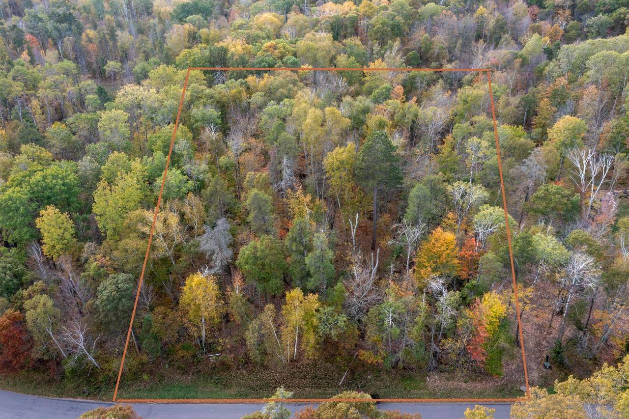 Lot 007 Block 010 - Green Scene Drive - Photo 1