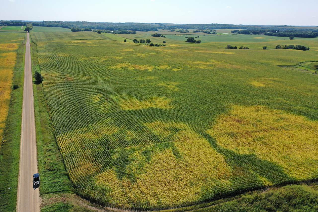 TBDx 190th Street - Photo 1