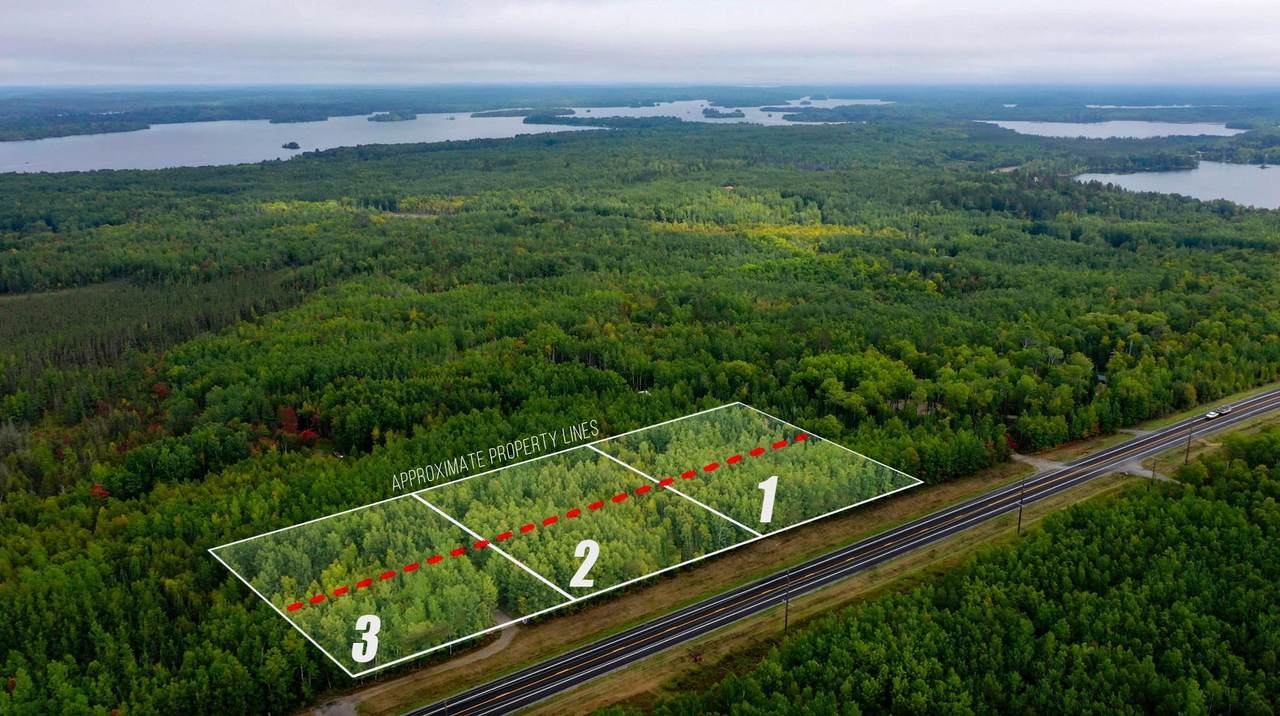 Parcel 3 TBD Hwy 115 - Photo 1