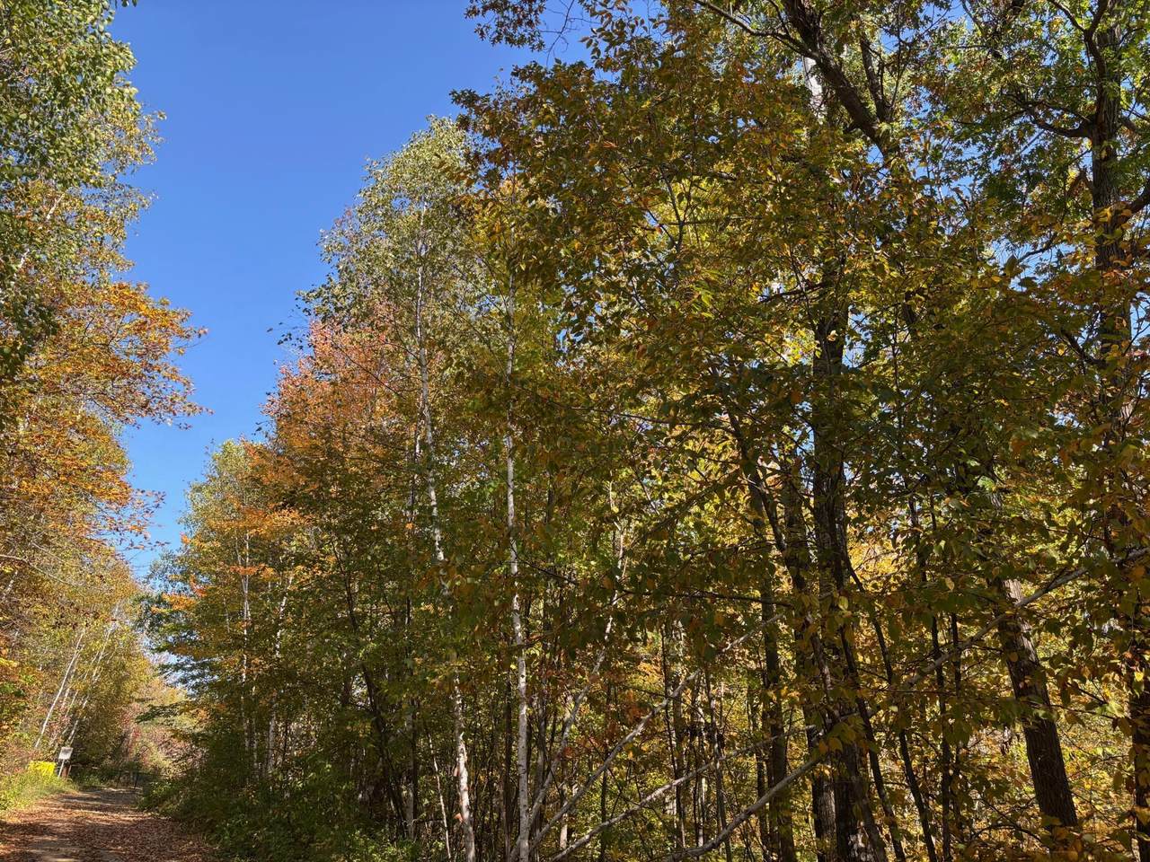 TBD County Road 12 - Photo 1
