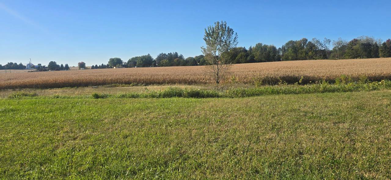 TBD ( Lot 4, Blk 1) 3rd Avenue - Photo 1