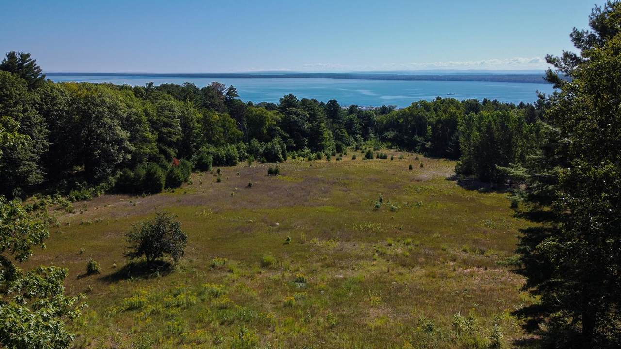 35480 Whitetail Avenue - Photo 1