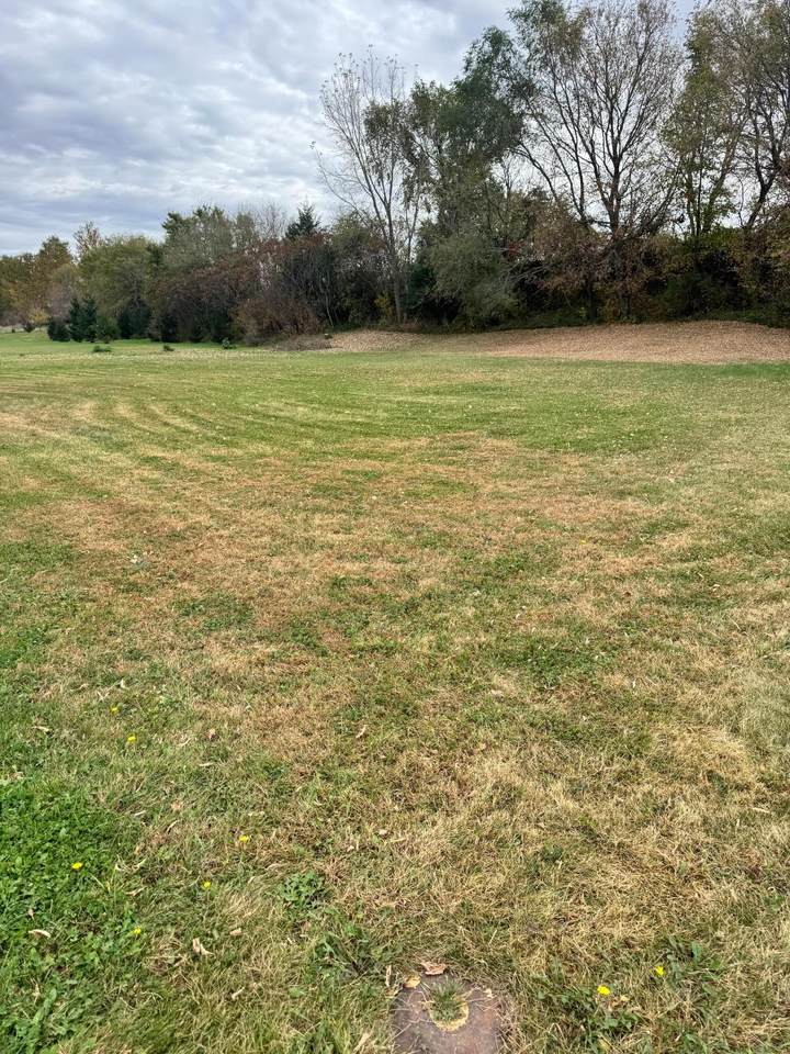 2323 Lake Avenue - Photo 1