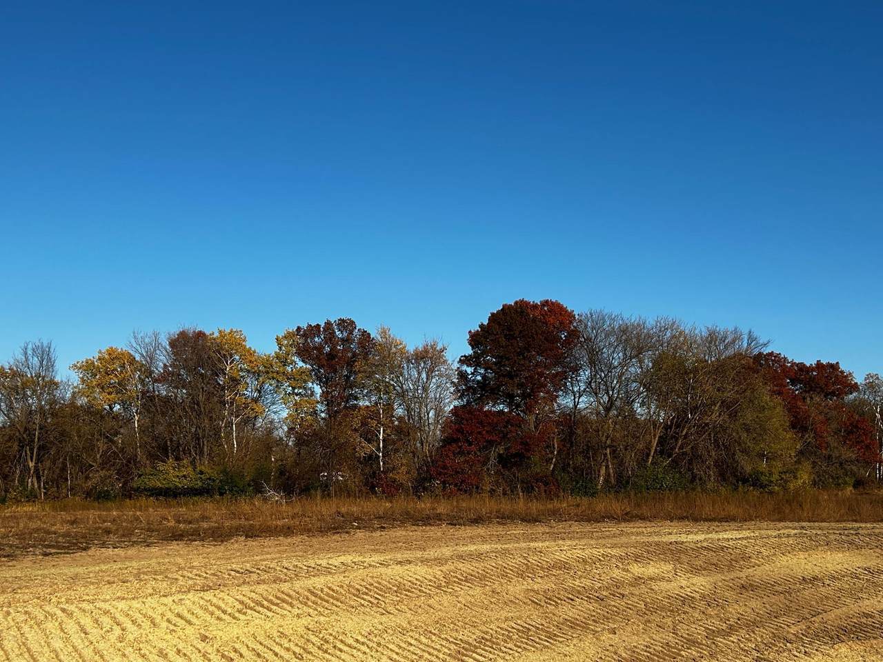 https://bt-photos.global.ssl.fastly.net/northstar/1280_boomver_2_6809422-2.jpg