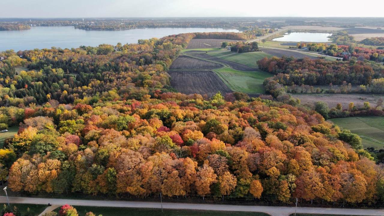 11275 66th Street - Photo 1