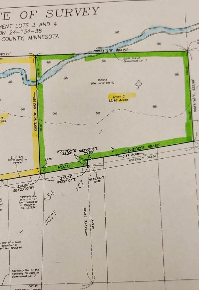 315XX Leaf River Road Tract C - Photo 1