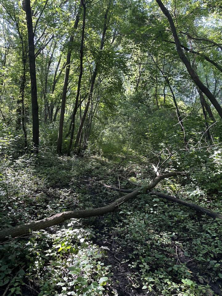 XXX 50th Street - Photo 1