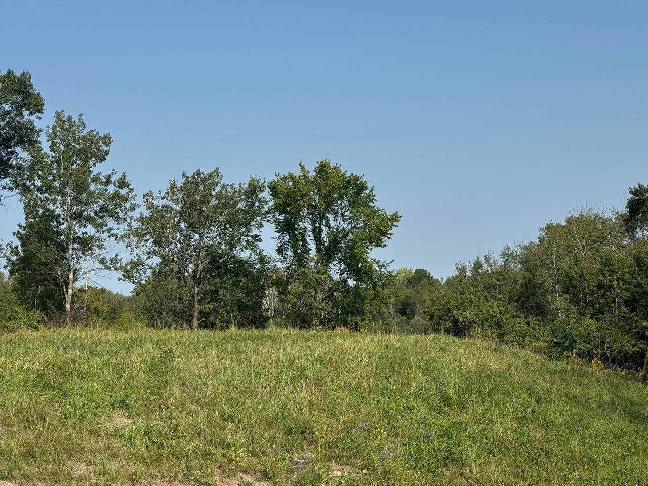 14985 Stutz Street - Photo 1