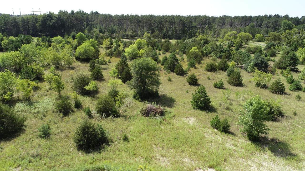 https://bt-photos.global.ssl.fastly.net/northstar/1280_boomver_2_7006867-2.jpg