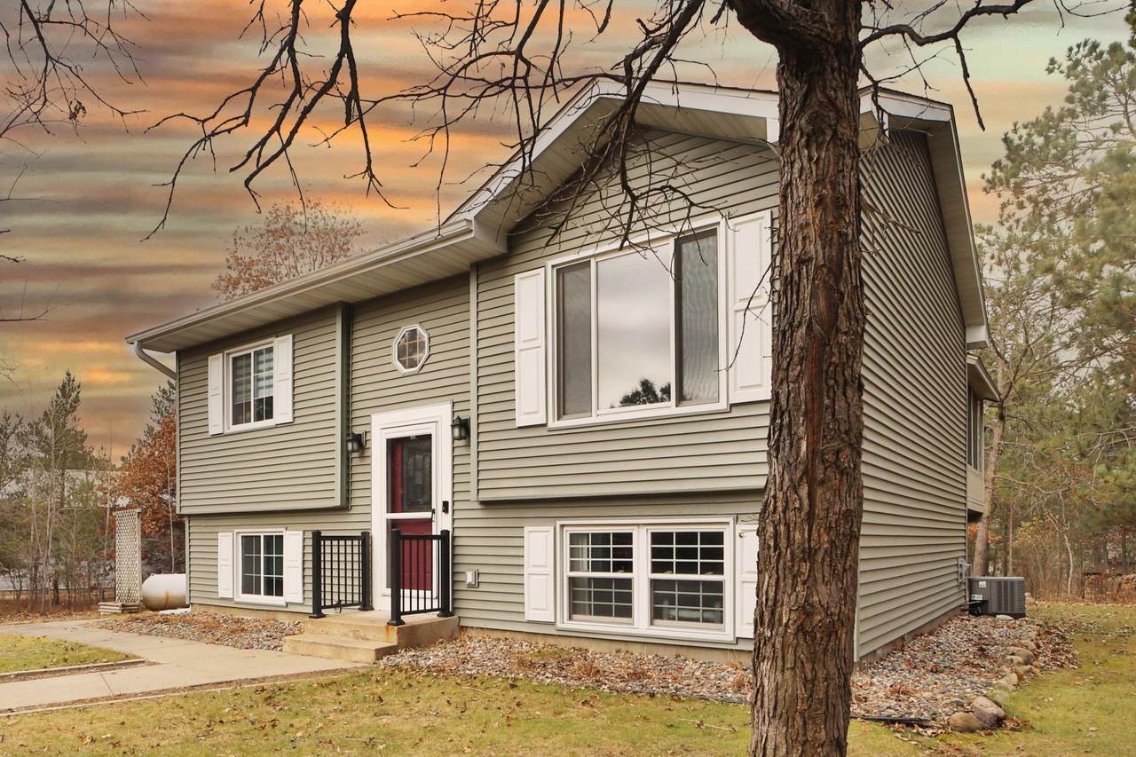 11293 Town Hall Street - Photo 1