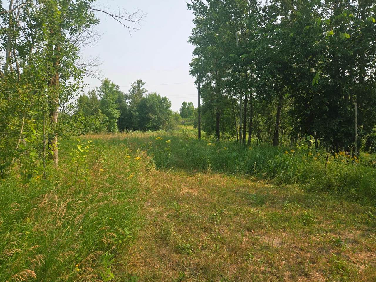 183XX 302nd Avenue - Photo 1