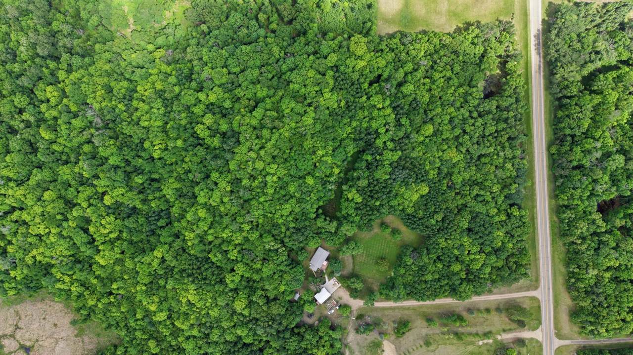 23379 Co Hwy 32 - Photo 1