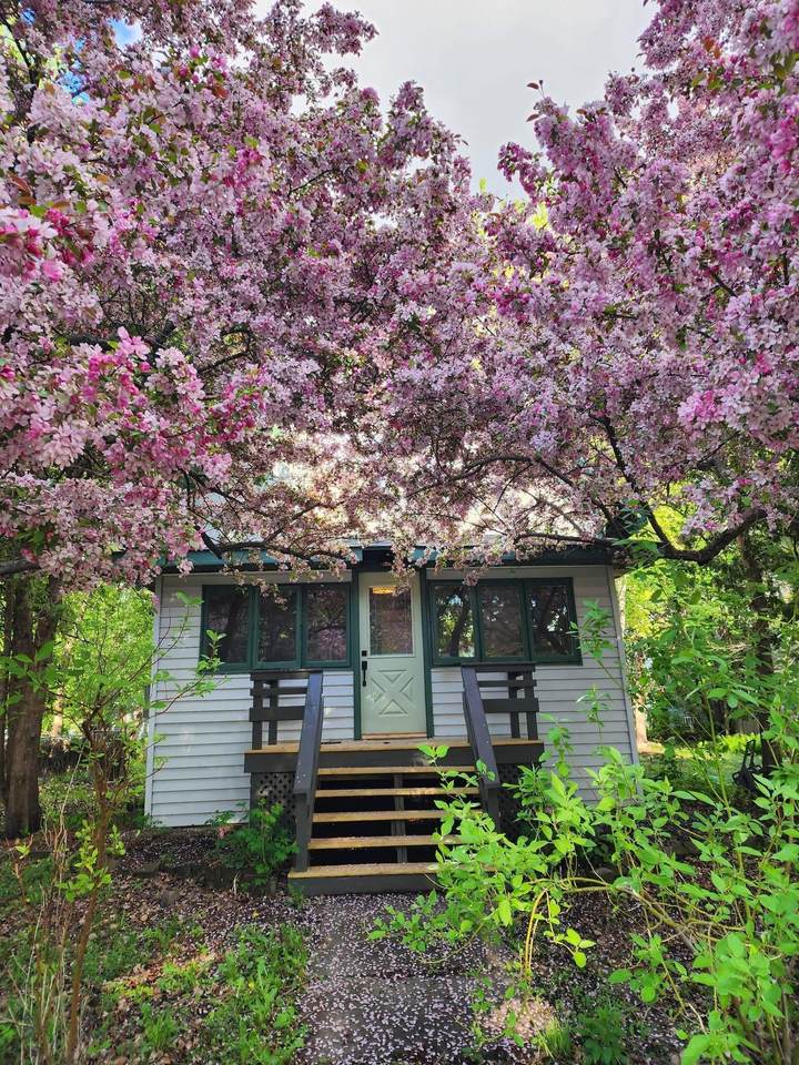 6 4th Street - Photo 1