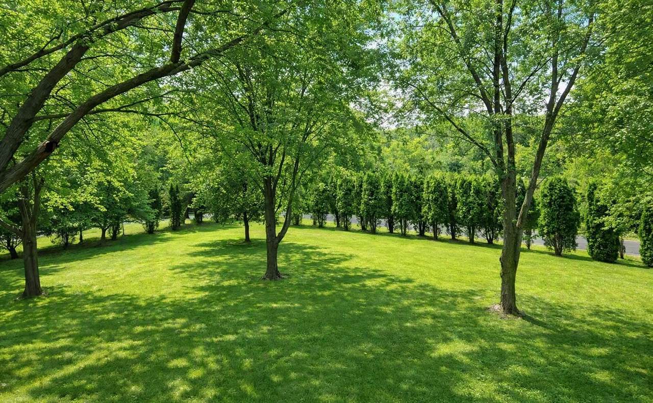 https://bt-photos.global.ssl.fastly.net/northstar/1280_boomver_1_7143404-2.jpg