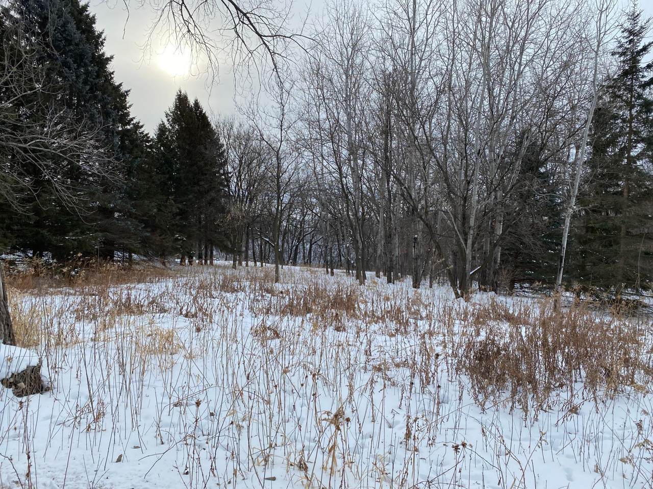 208 Skyline Drive - Photo 1