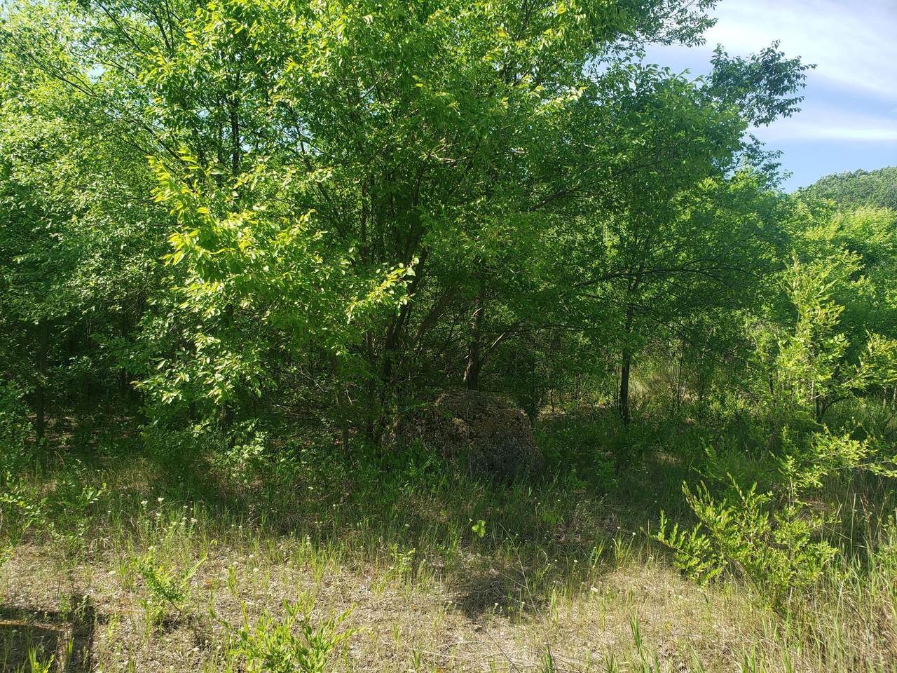 218 Walnut Circle - Photo 1