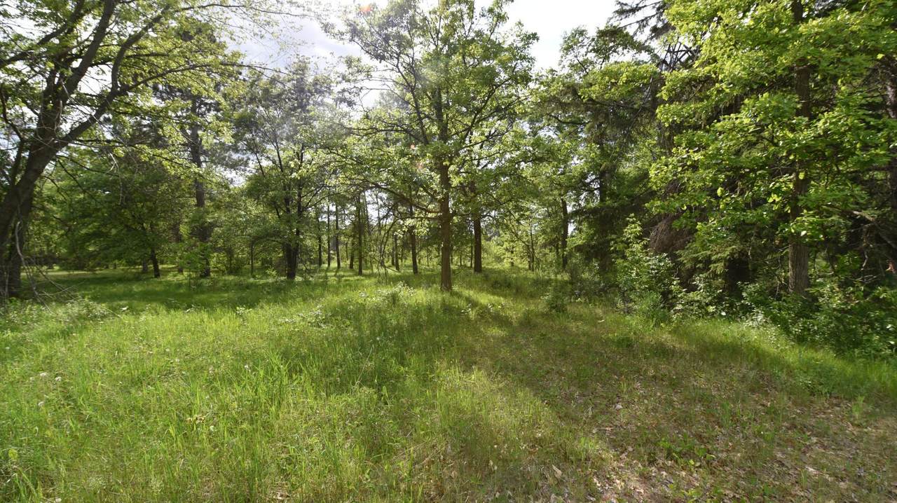 215 York Street - Photo 1