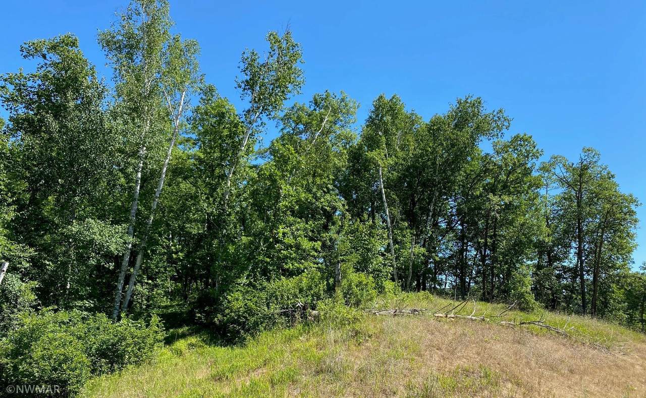 TBD Boot Lake Road - Photo 1