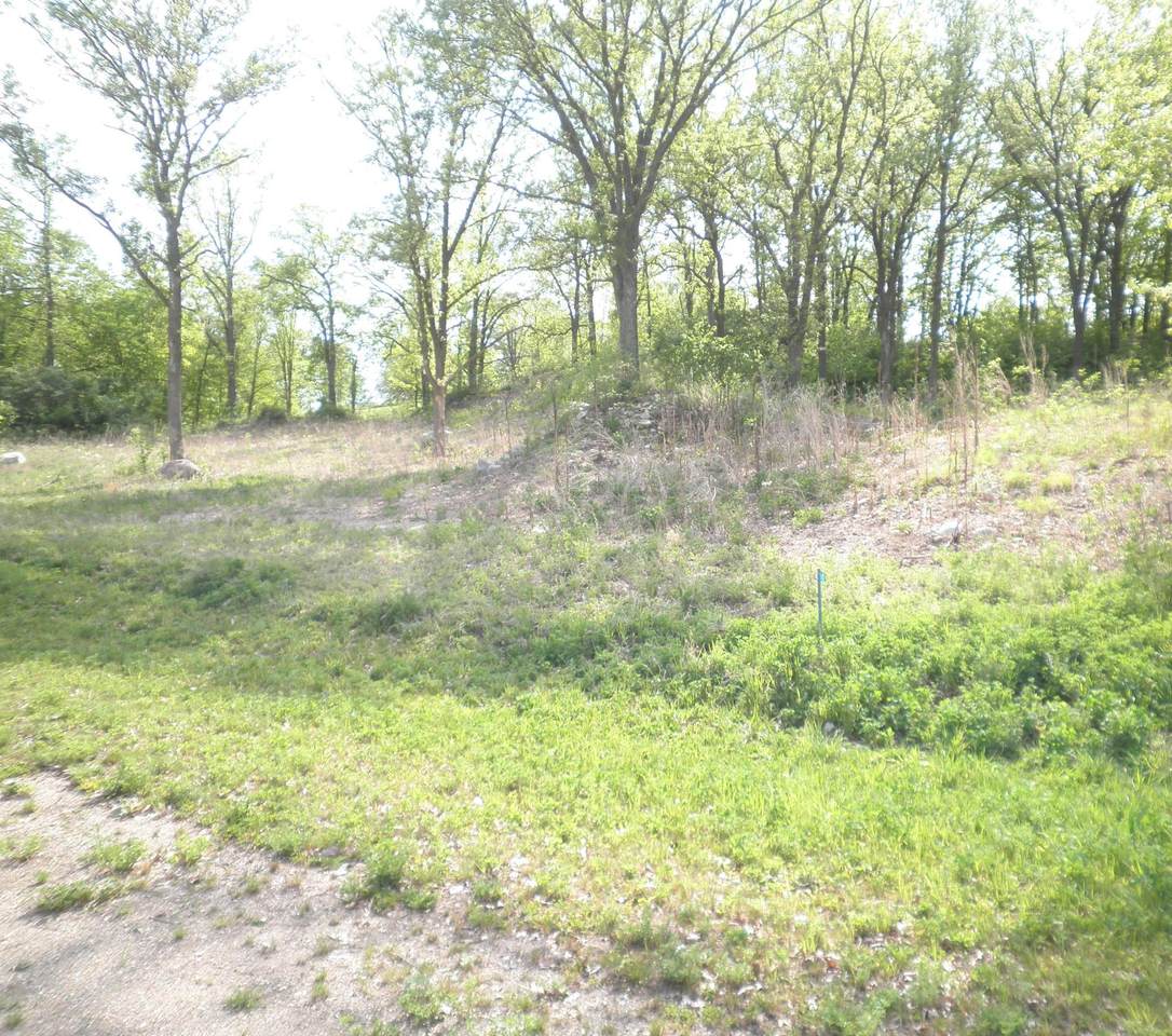 411 Dianne Avenue - Photo 1