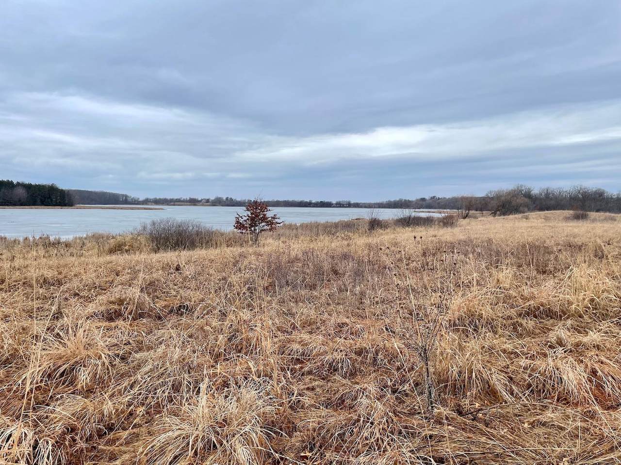 XXX 85th Avenue - Photo 1