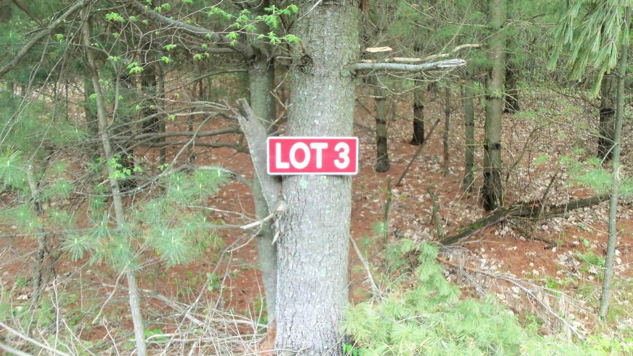 LOT 3 350TH AVE - Photo 1