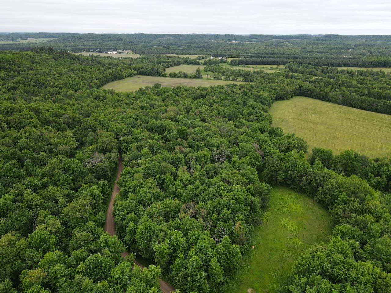 N12507 Maple Bluff Road - Photo 1