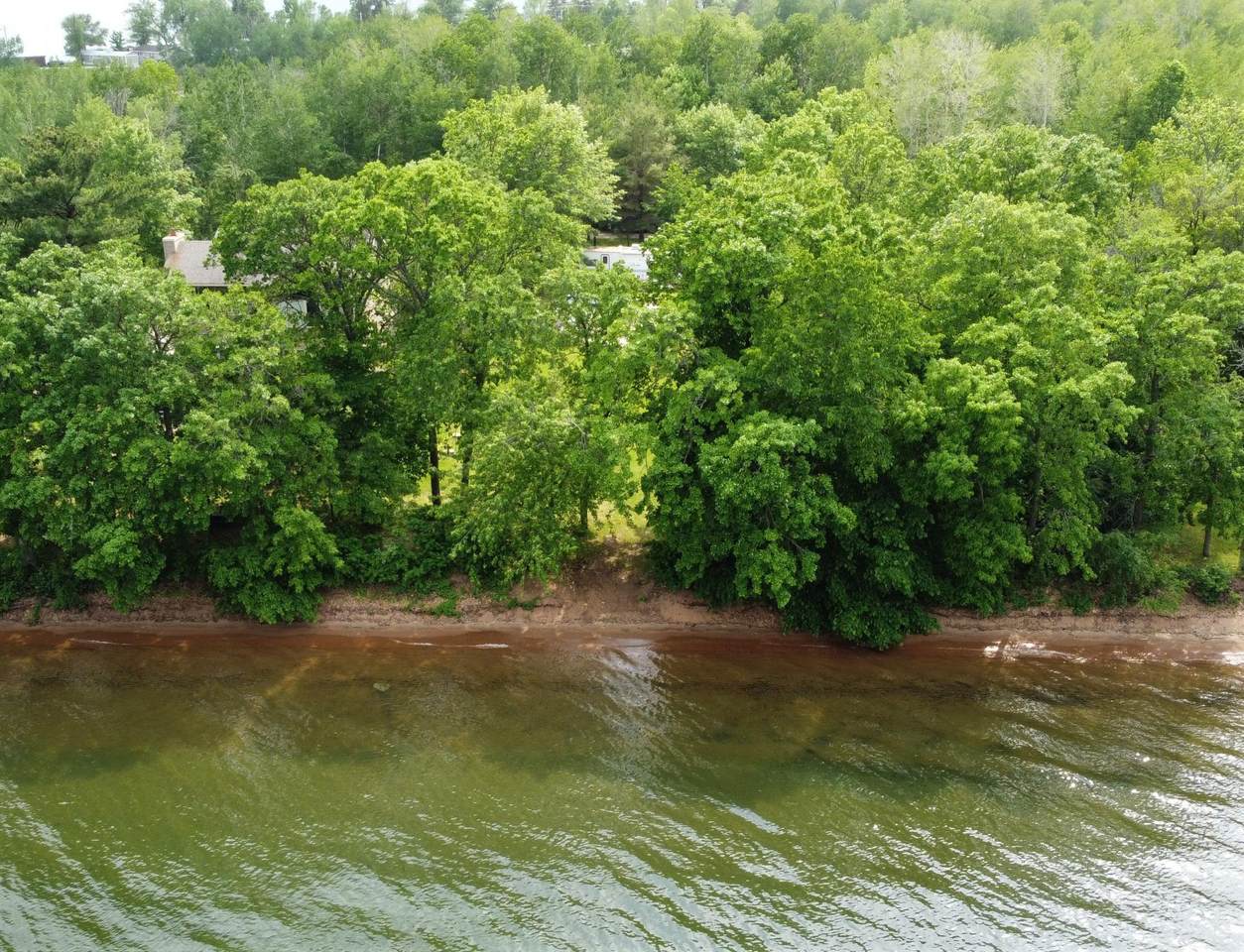 4596 Vireo Trail - Photo 1