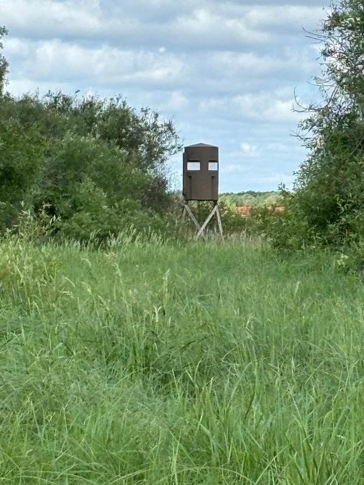 TBD County Road 7 - Photo 1