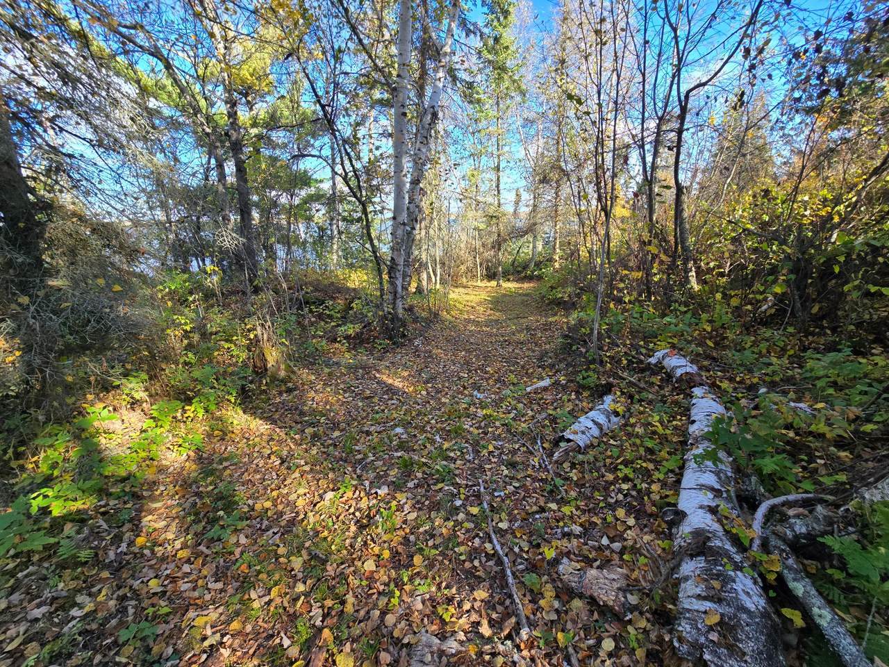 https://bt-photos.global.ssl.fastly.net/northstar/1280_boomver_3_6615933-2.jpg