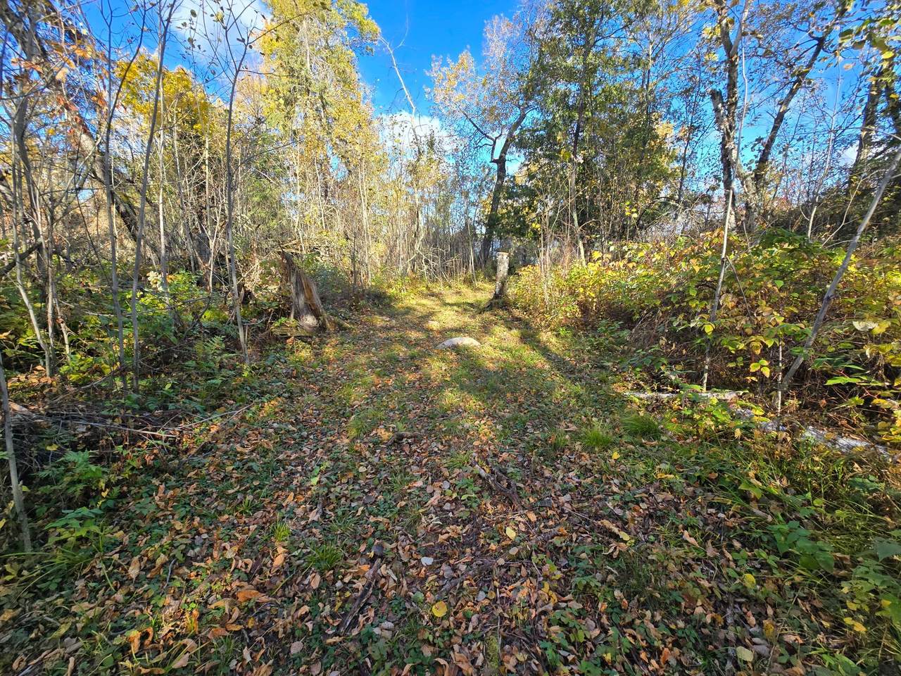 https://bt-photos.global.ssl.fastly.net/northstar/1280_boomver_3_6615933-2.jpg