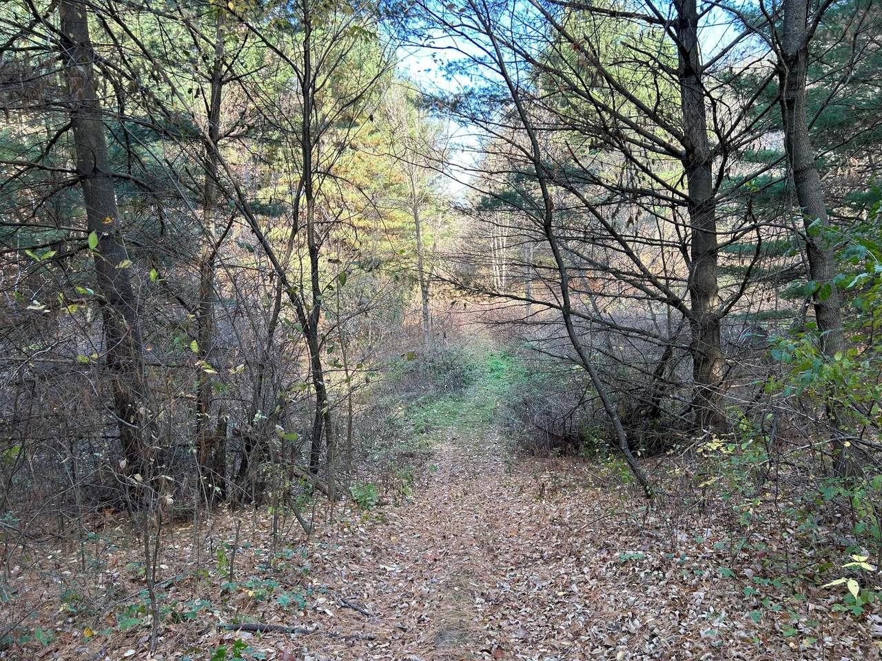 https://bt-photos.global.ssl.fastly.net/northstar/1280_boomver_3_6620079-2.jpg