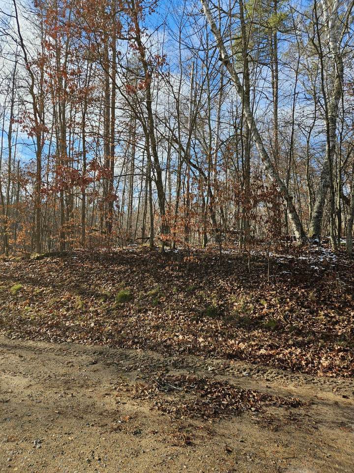 Lot 1 Raccoon Lane - Photo 1