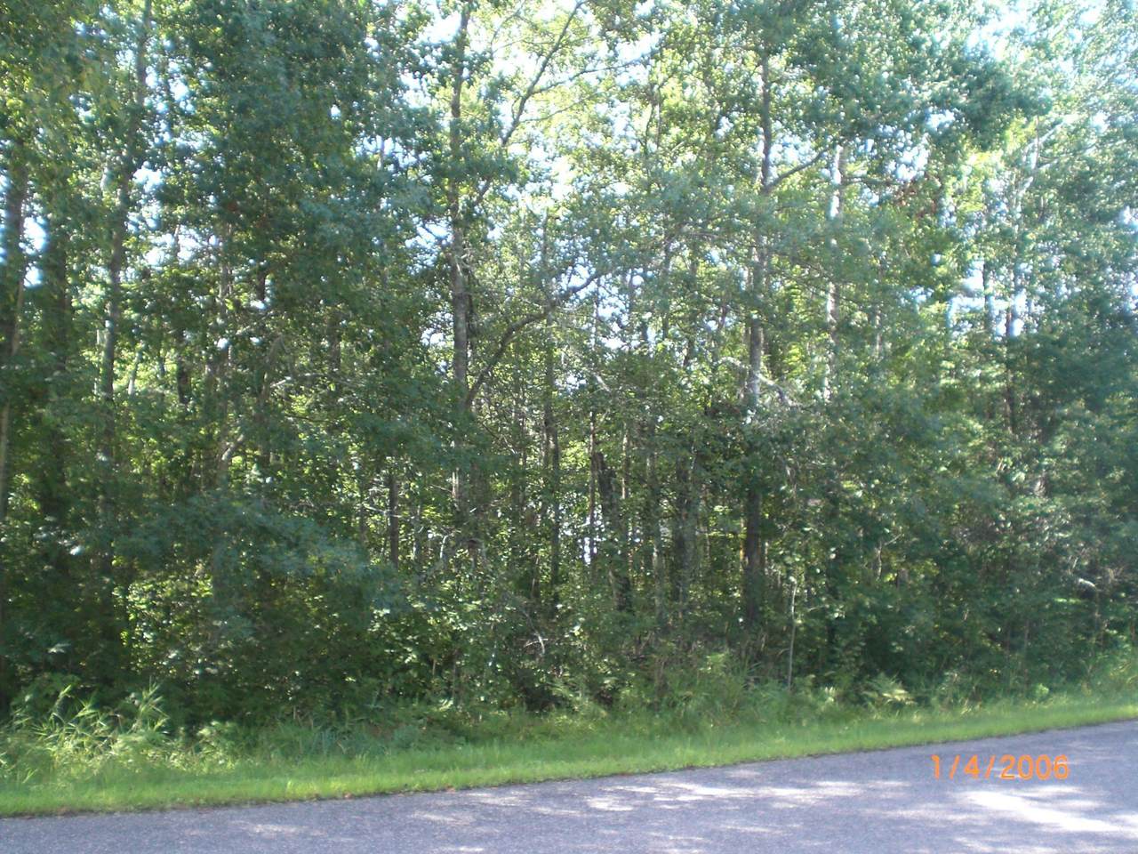 Lot 12 Fallen Leaf Circle - Photo 1