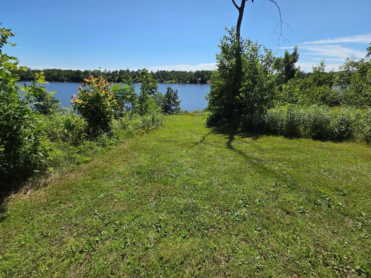 1766 White Ash Drive - Photo 1
